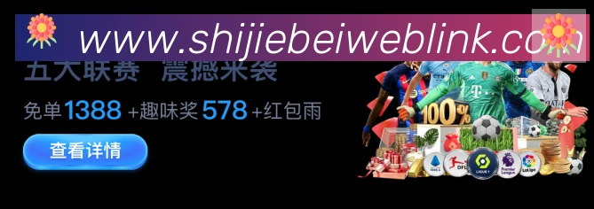 未来规划